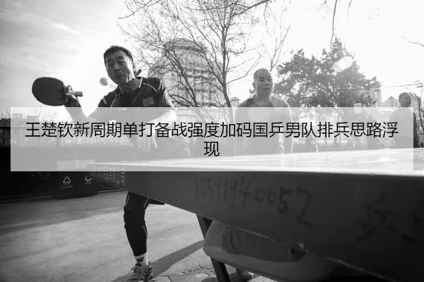 王楚钦新周期单打备战强度加码国乒男队排兵思路浮现